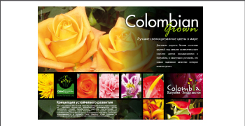 Asocolflores