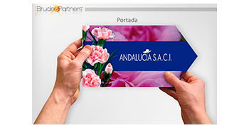 ANDALUCIA