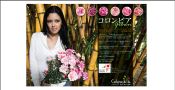 Asocolflores