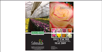Asocolflores