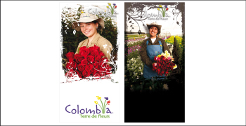 Asocolflores