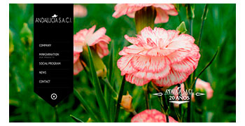 Pagina Web